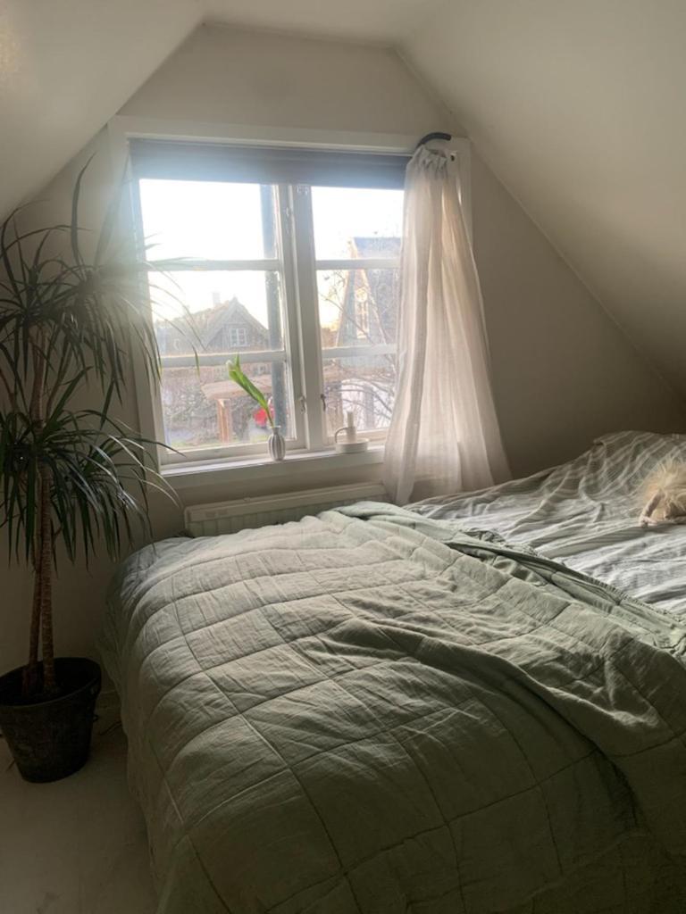 Millans Dockhus Villa Onslunda Buitenkant foto