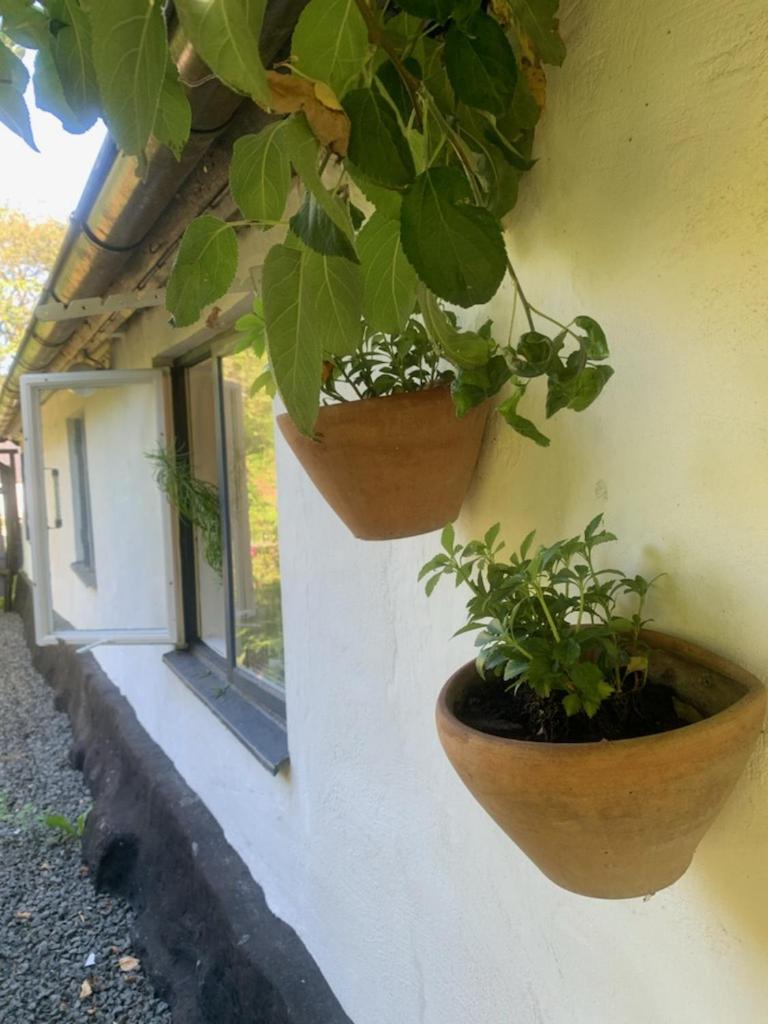 Millans Dockhus Villa Onslunda Buitenkant foto